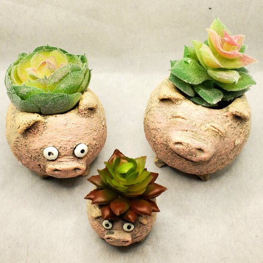 The Porcini's Planters by Blob House™