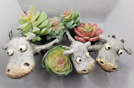 The Holstein's Planters by Blob House™