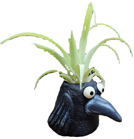 Baby Eddie Crow Planter by Blob House™