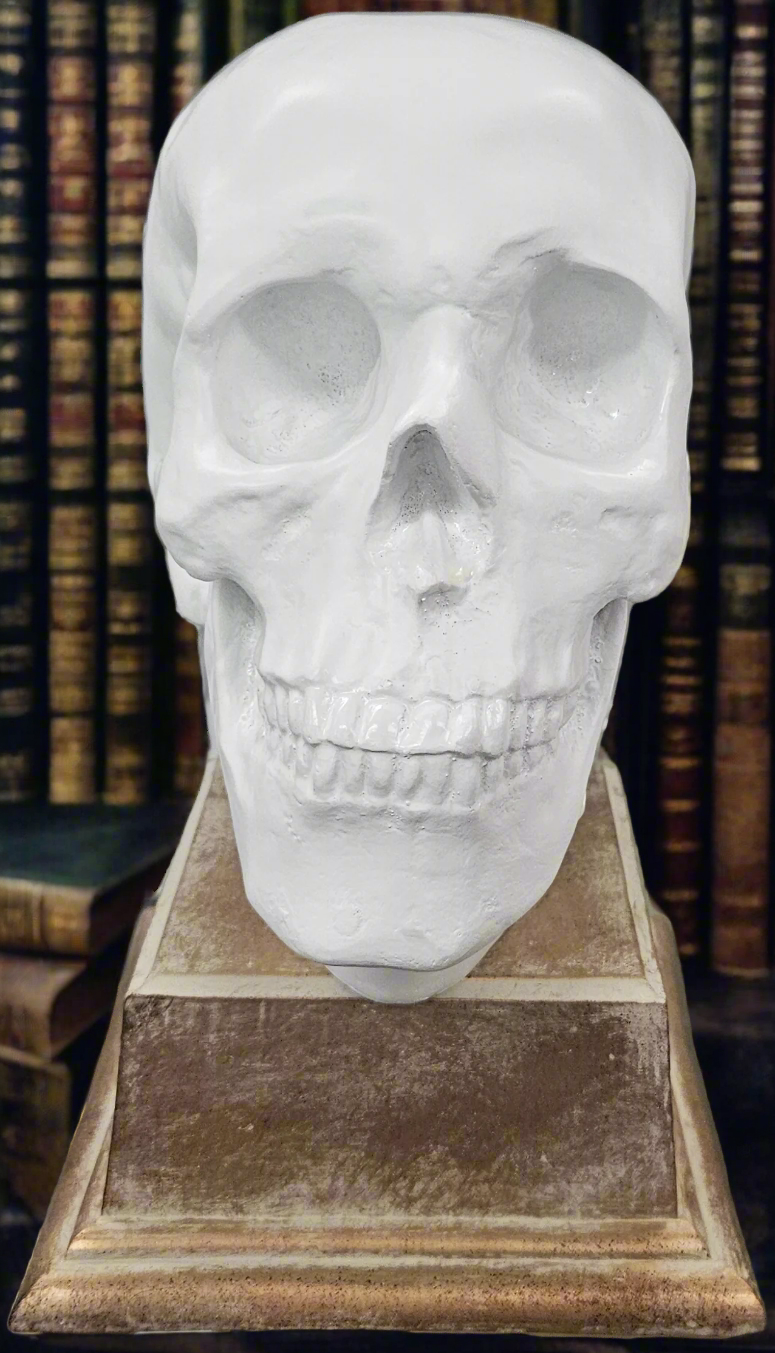 Faux Skull on Base
