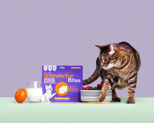Wonderfur Bites Senior Support for Cats