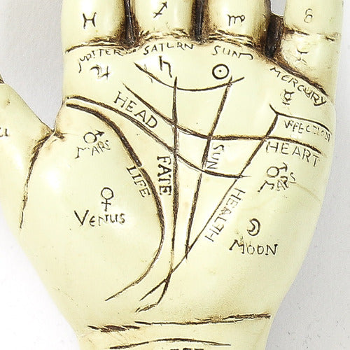 Palmistry Hand