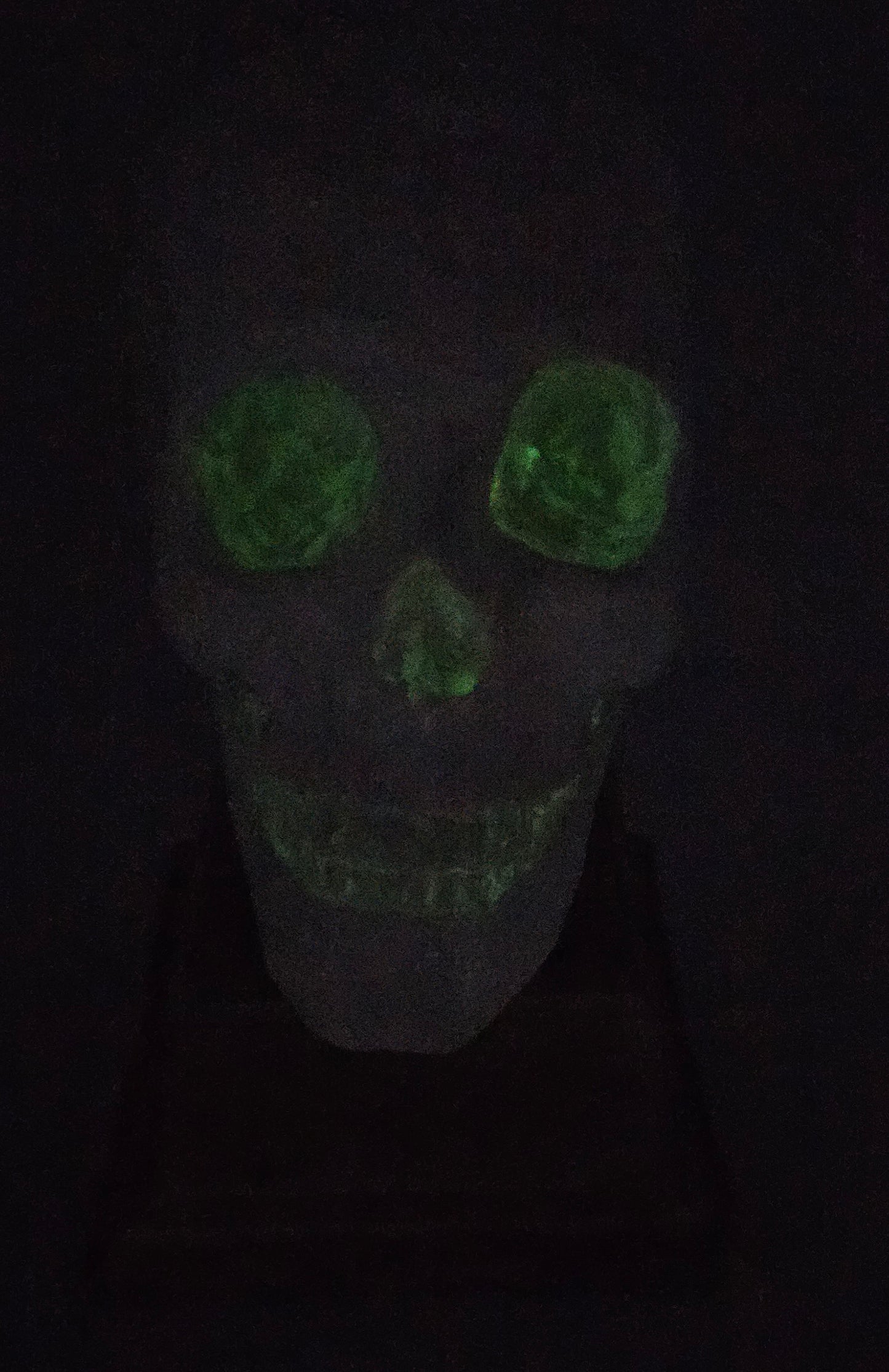 Faux Skull on Base