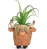 Dougal - Highland Coo Planter by Blob House™