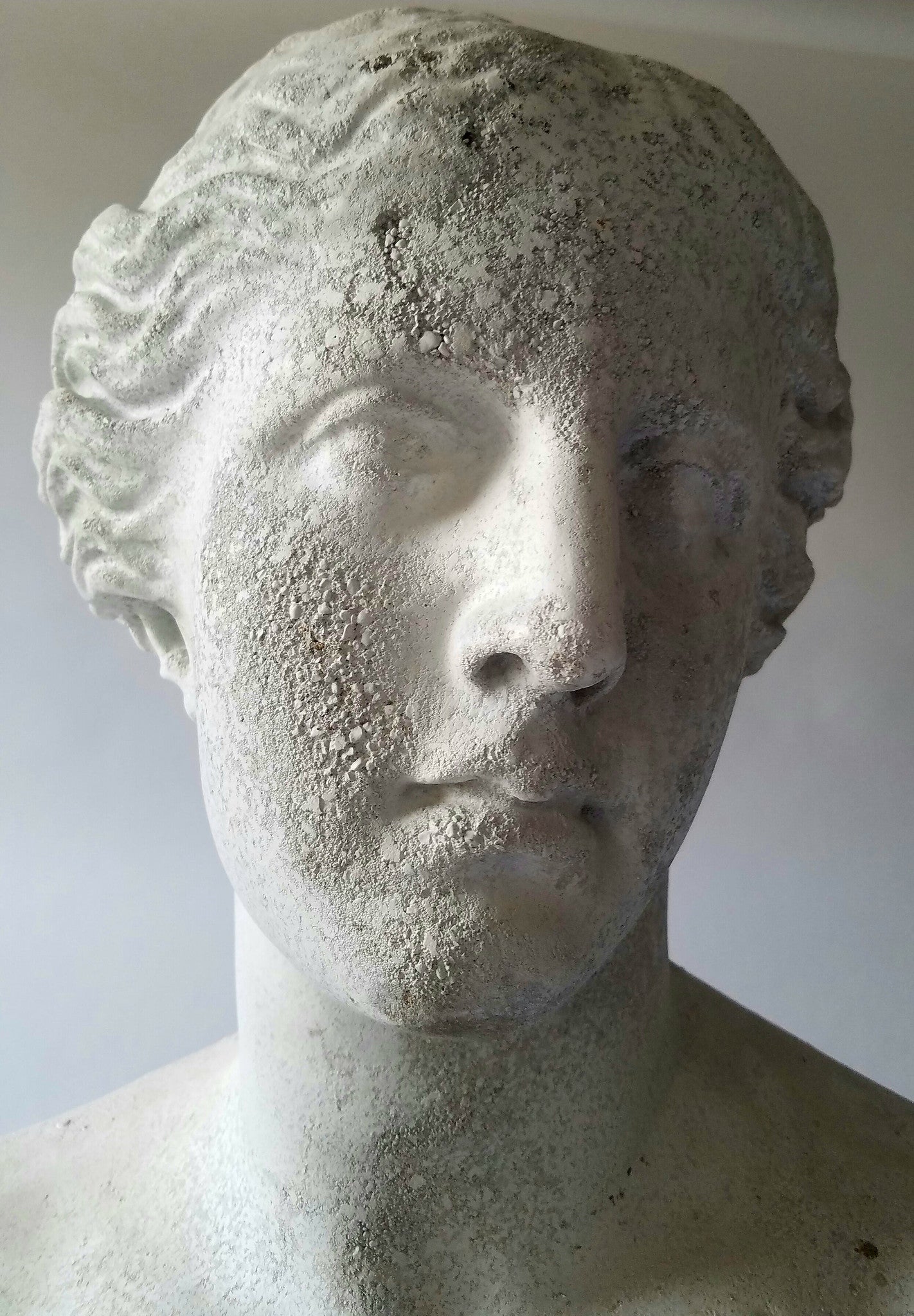 Venus De Milo Bust