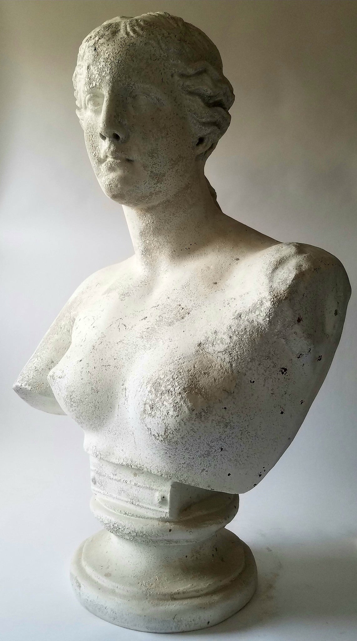 Venus De Milo Bust