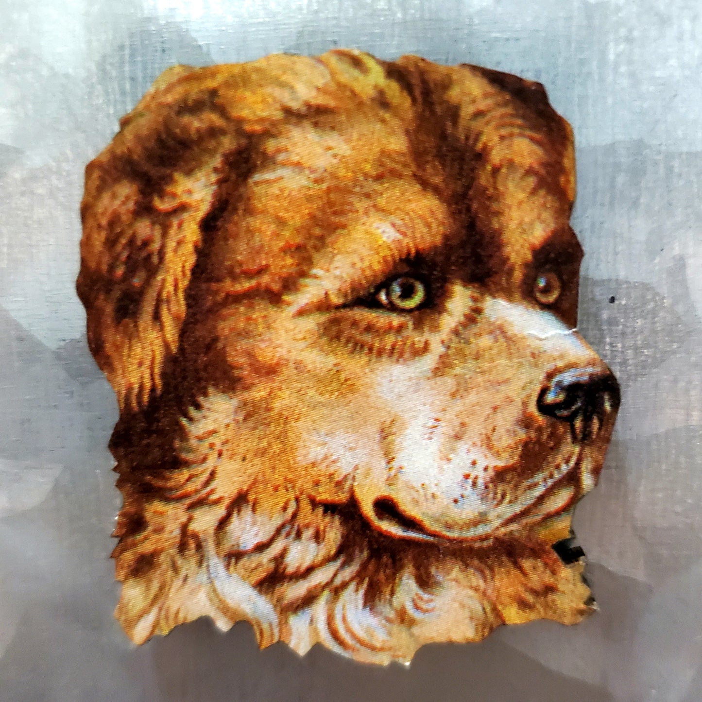 Dog Magnets