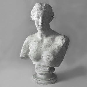 Venus De Milo Bust