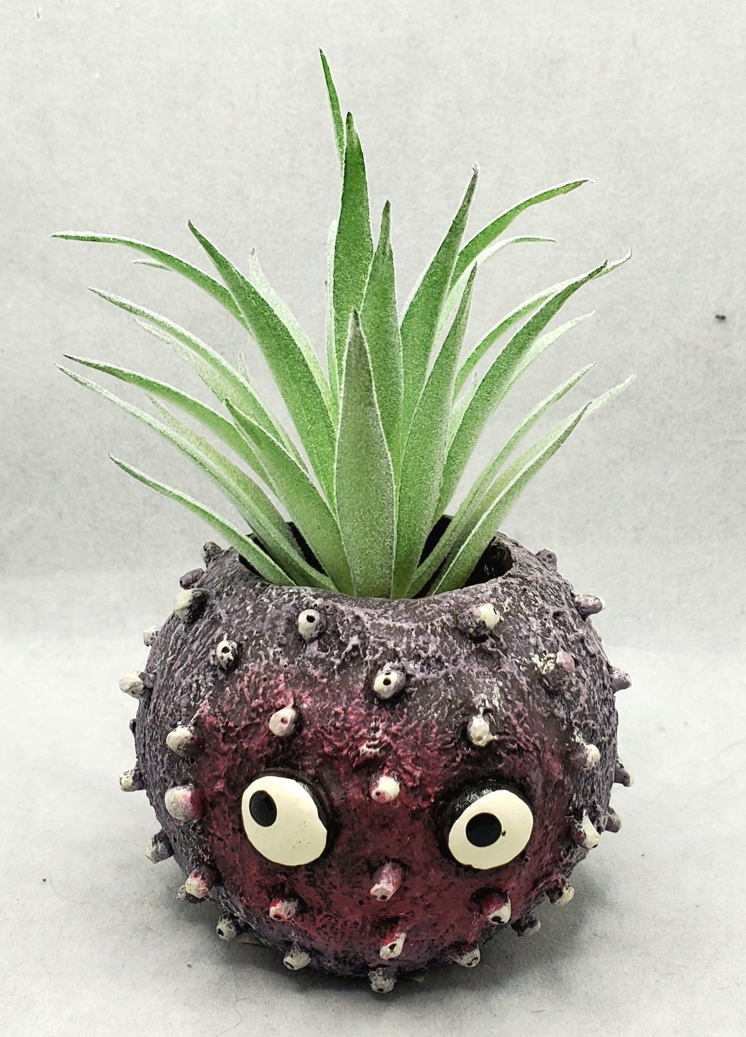 Uni Urchin Planter by Blob House™