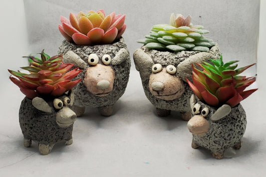 The Ramsey's Planters by Blob House™