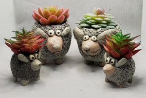 The Ramsey's Planters by Blob House™