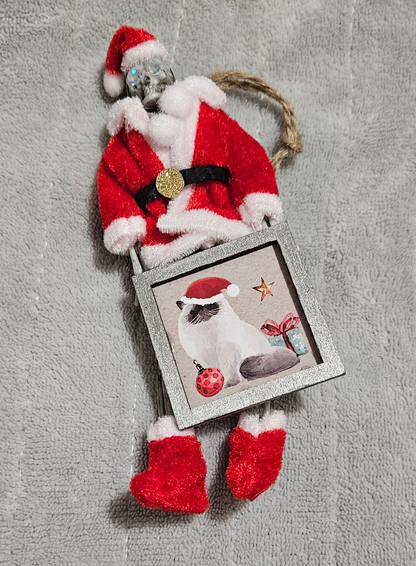 Creepy Claus - Festive cat