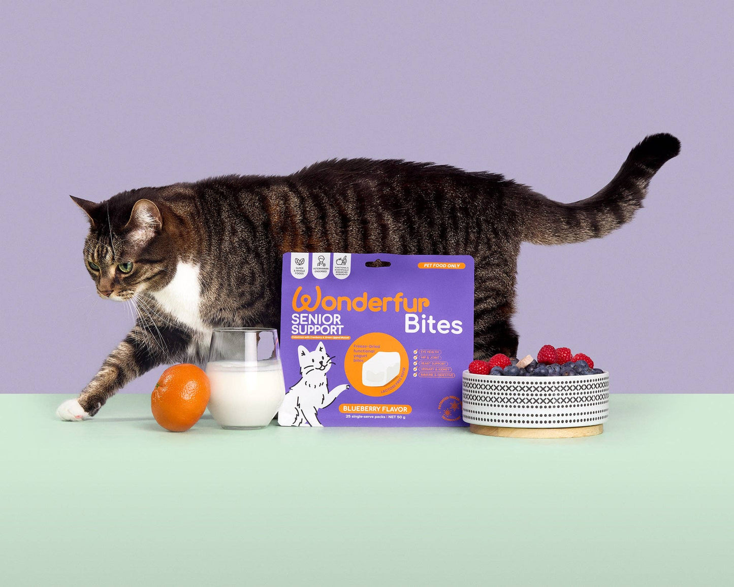 Wonderfur Bites Senior Support for Cats