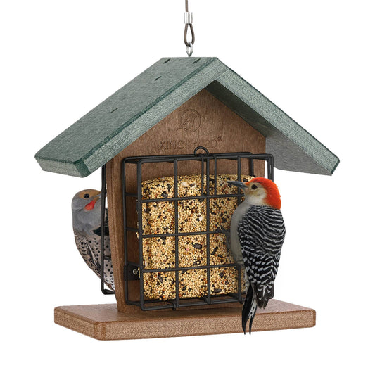 Kingsyard Recycled Plastic Double Suet Feeder for Hanging