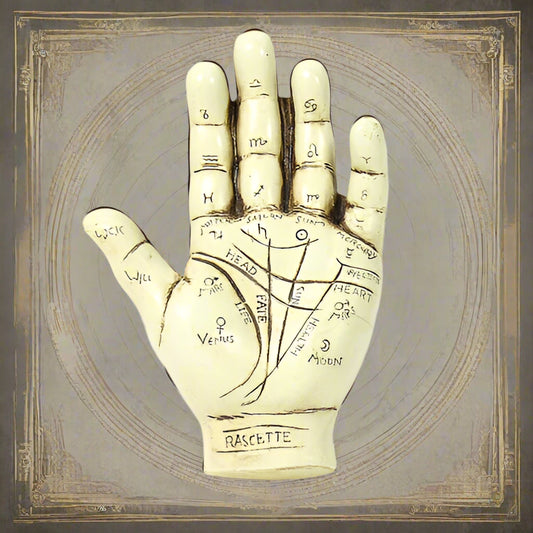 Palmistry Hand