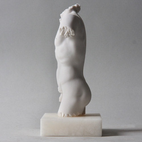 David Torso