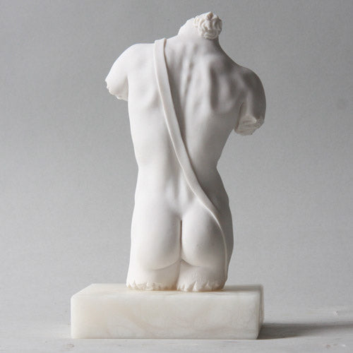 David Torso