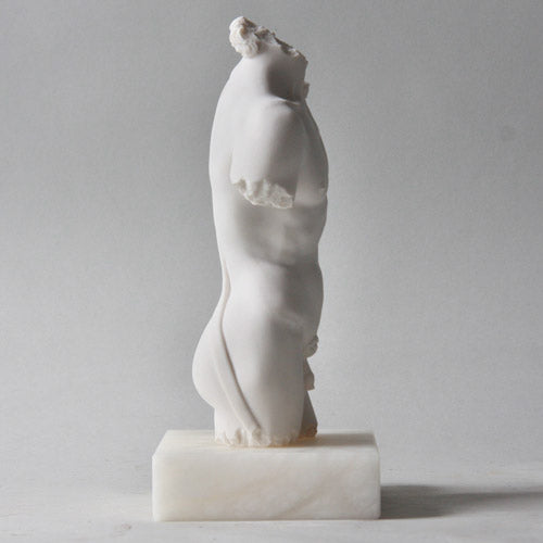 David Torso