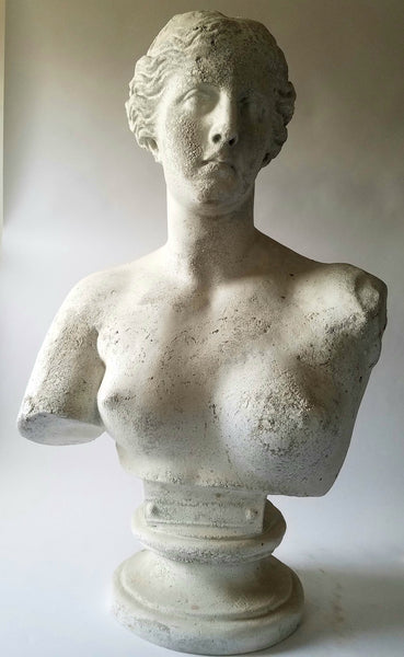 Venus De Milo Bust