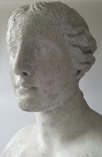 Venus De Milo Bust