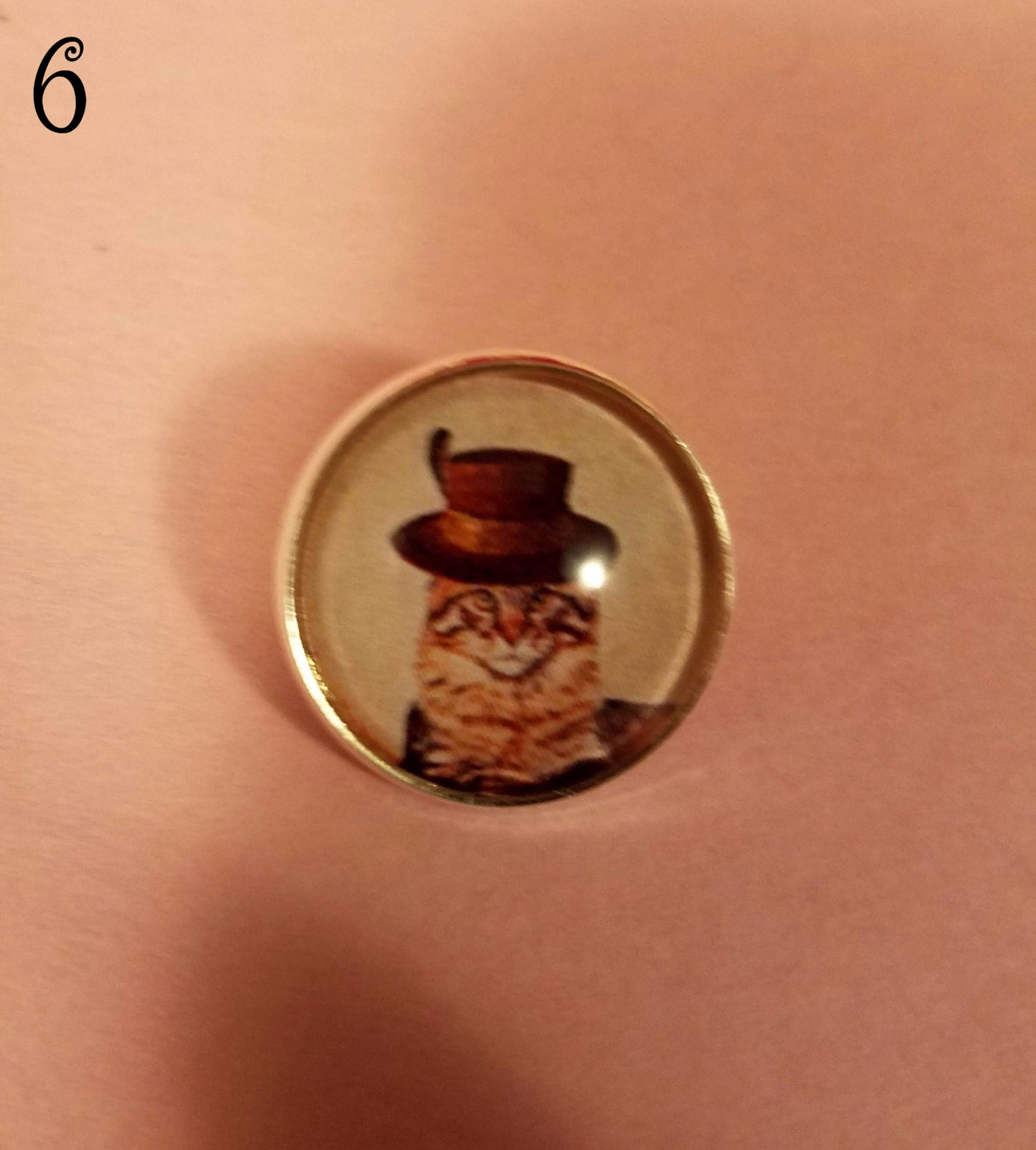 Catz in Hatz Cabochon Lapel Pin