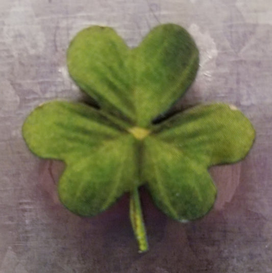 Small Shamrock Magnet