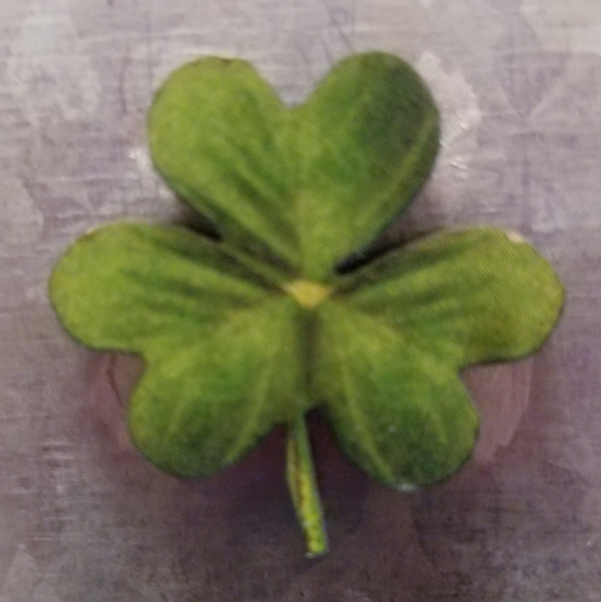 Small Shamrock Magnet