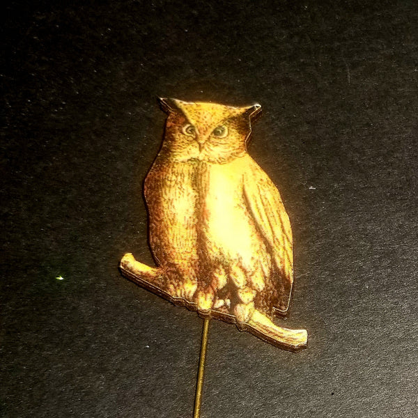 Owl Stick Pin