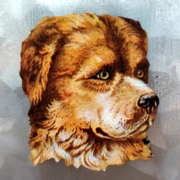 Dog Magnets