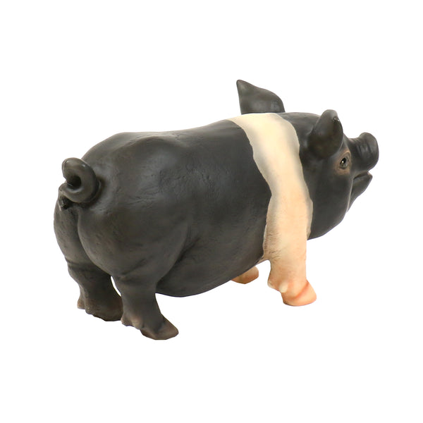 Hampshire Pig Statue