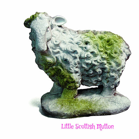 Little Scottish Mutton