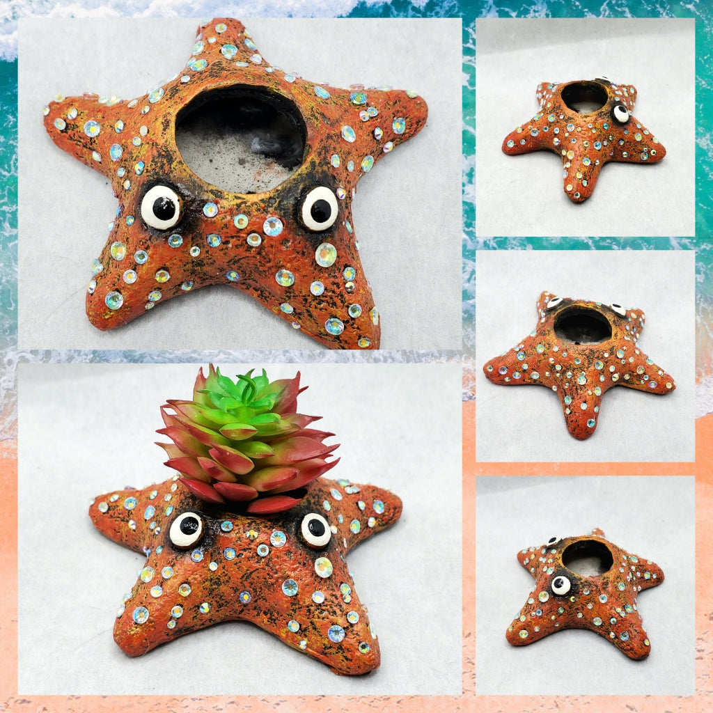 Glitz Asters Star Fish Planter