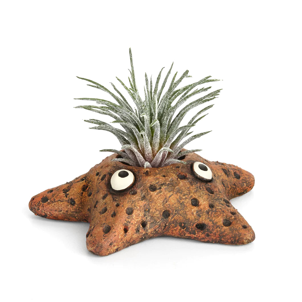 Asters Star Fish Planter by Blob House™