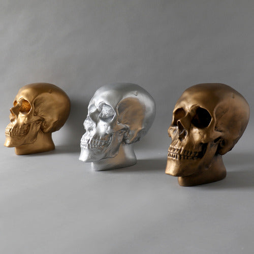 Anatomical Skull Statue