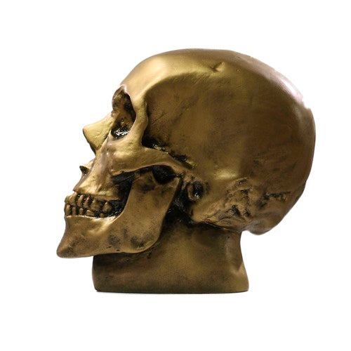Anatomical Skull Statue