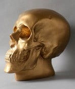 Anatomical Skull Statue