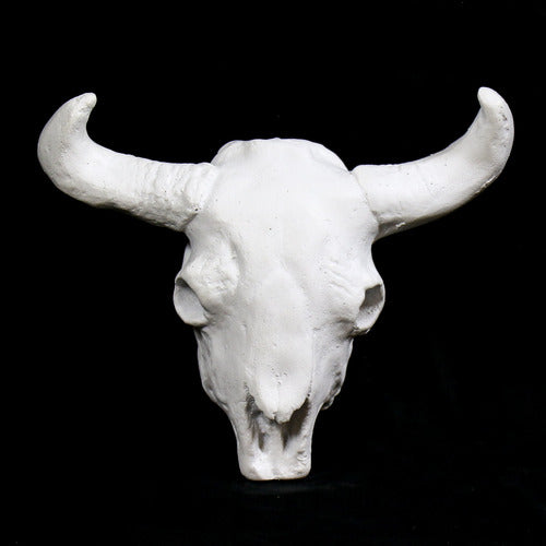 Tiny Cow Skull Wall Art