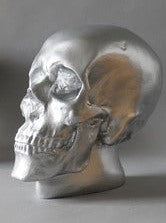 Anatomical Skull Statue